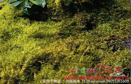 Windows7 7130已经发布_教你每天更新Win7