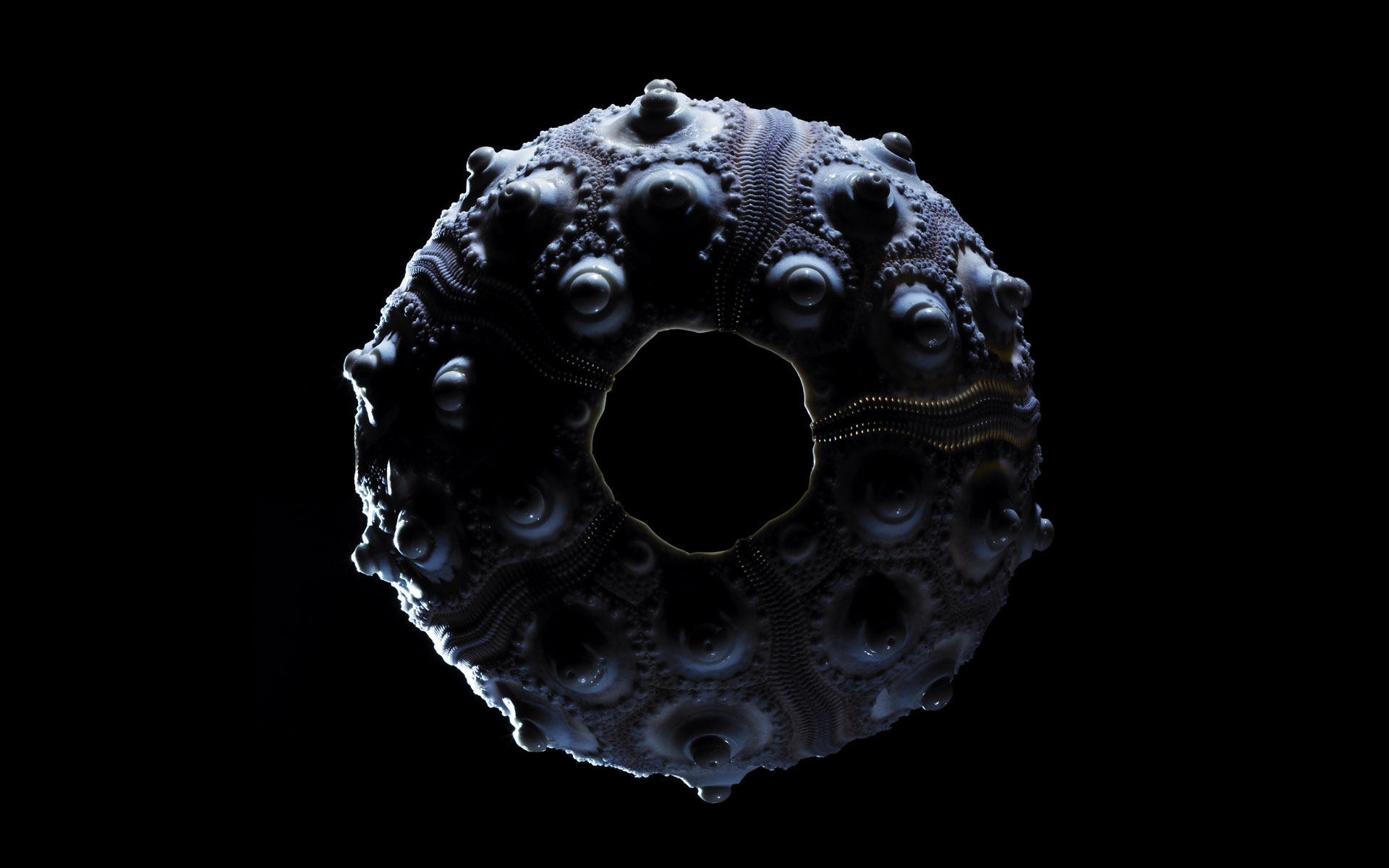 【Windows7壁纸】1920x1200高清壁纸 千年生物