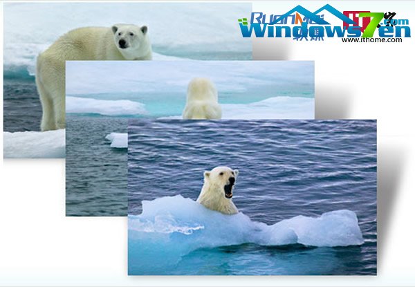 微软发布官方主题包-北极熊