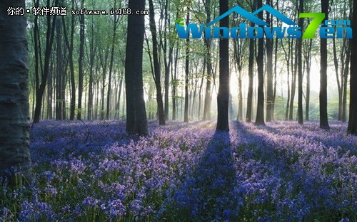 微软发布Win7新主题《森林》和《树苗》