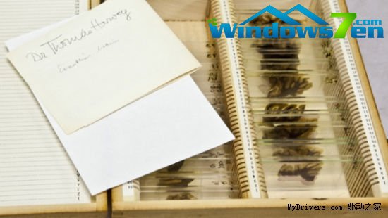 爱因斯坦大脑切片首次公开展出