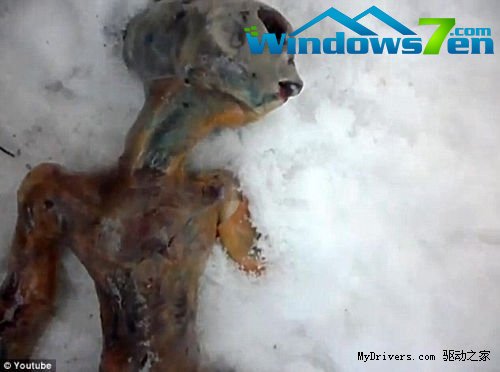 俄居民称发现外星人尸体 头部像人类颅骨