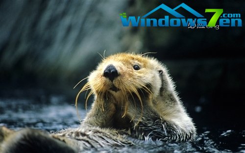 微软最新Win7主题《必应精选：中国2》