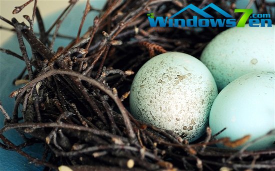 Windows 7萌系官方主题：《彩蛋》