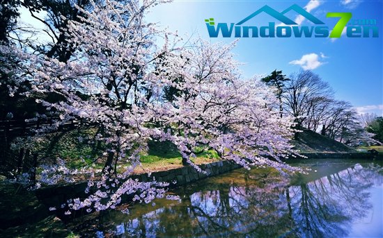 Windows 7官方主题：樱花
