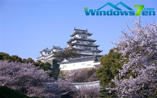 Windows 7官方主题：樱花