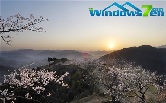 Windows 7官方主题：樱花