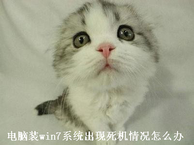 电脑装win7系统出现死机情况怎么办 电脑装win7系统出现死机情况怎么办