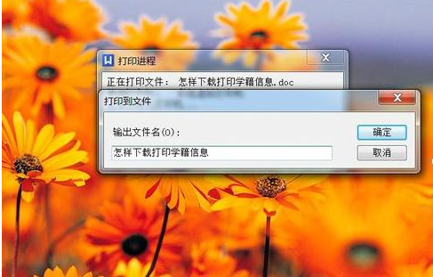 如何安装PDF打印机