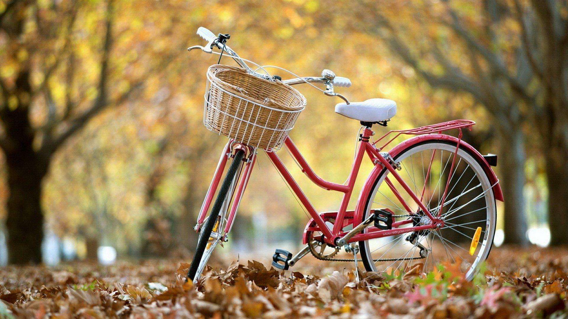 Ghost win7桌面壁纸