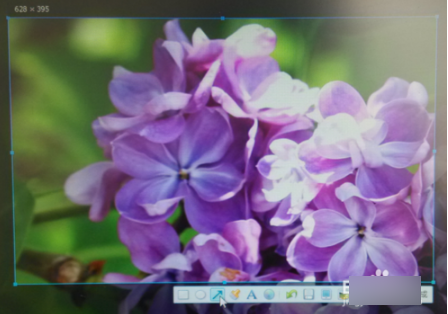 电脑截屏的快捷键是什么