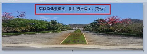 图片大小 图片大小