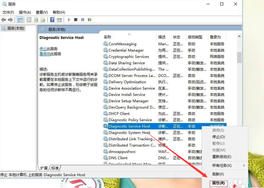 诊断策略 诊断策略